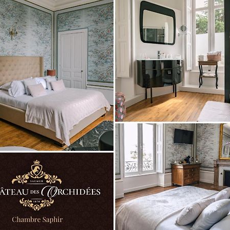 Chateau Des Orchidees En Val De Loire 索米尔 外观 照片