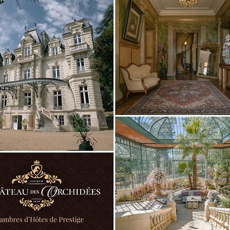 Chateau Des Orchidees En Val De Loire 索米尔 外观 照片