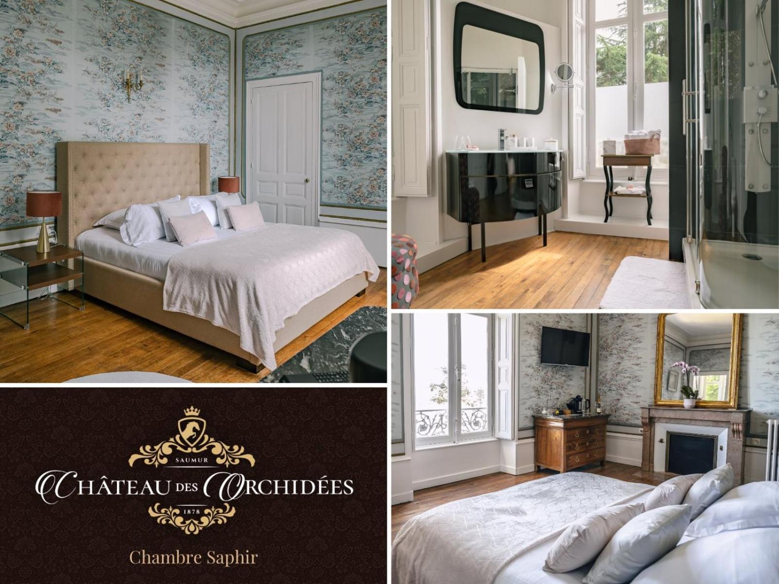 Chateau Des Orchidees En Val De Loire 索米尔 外观 照片