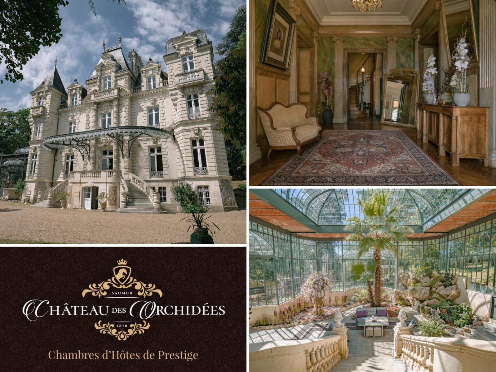 Chateau Des Orchidees En Val De Loire 索米尔 外观 照片