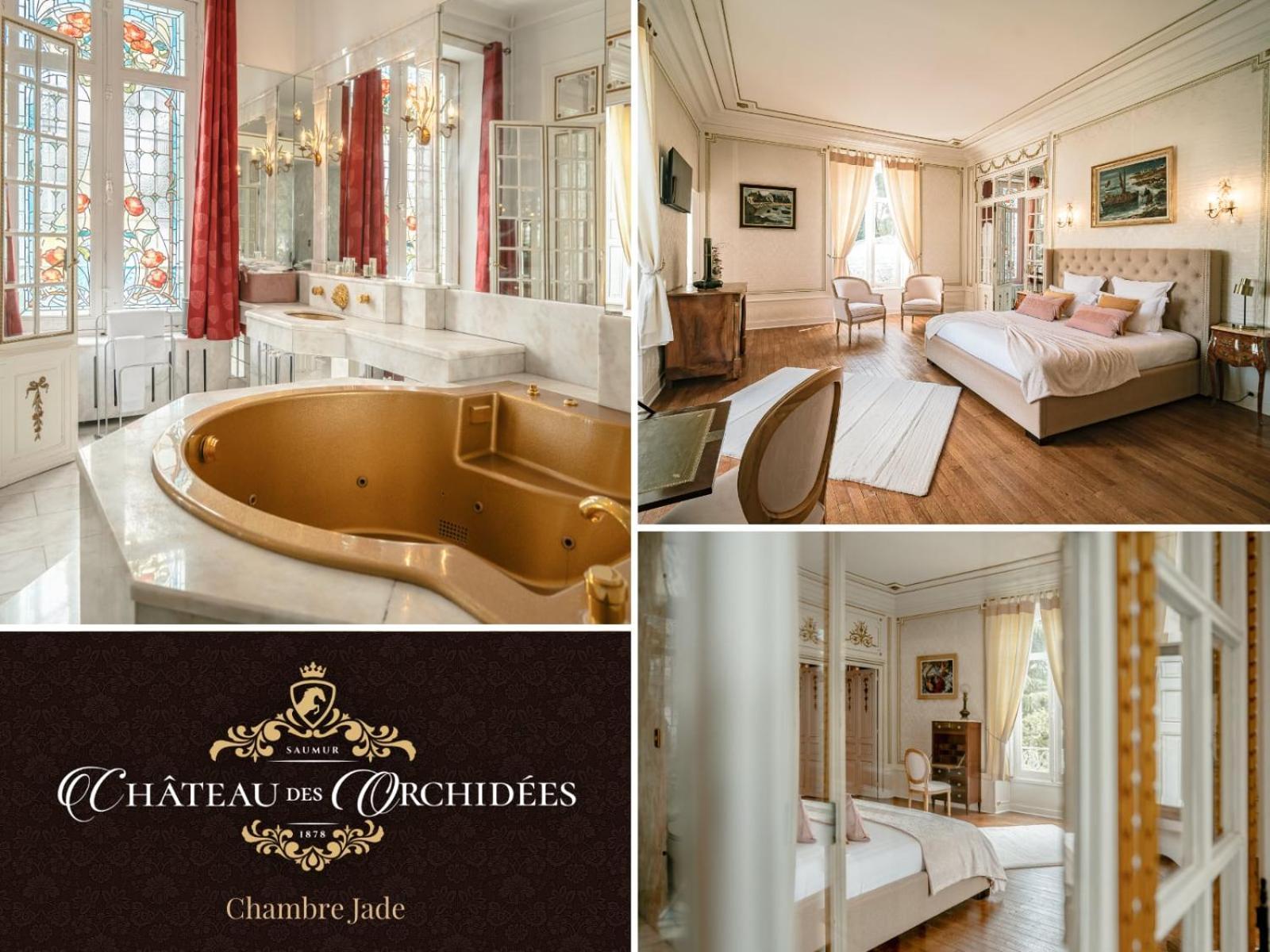 Chateau Des Orchidees En Val De Loire 索米尔 外观 照片