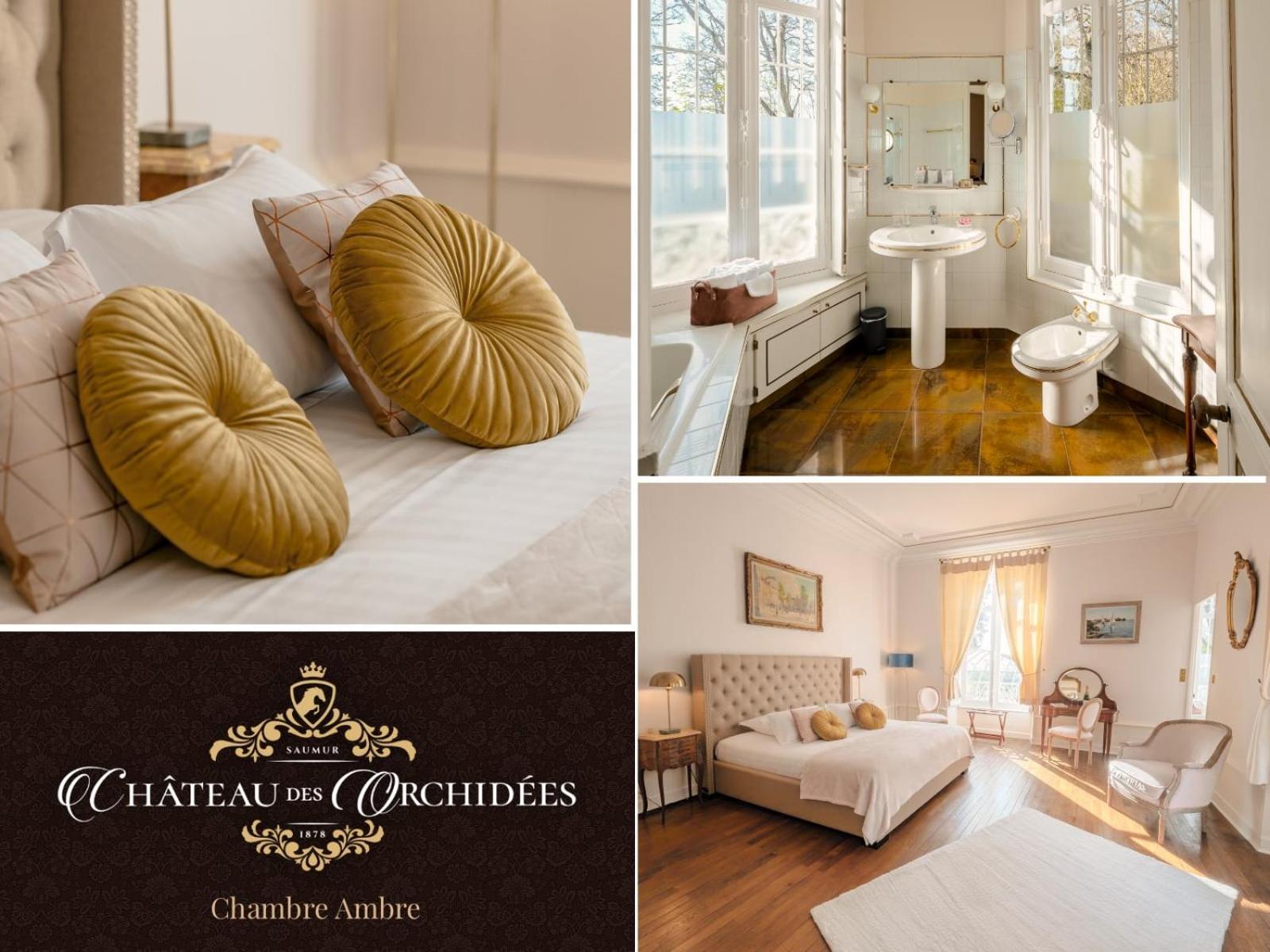 Chateau Des Orchidees En Val De Loire 索米尔 外观 照片